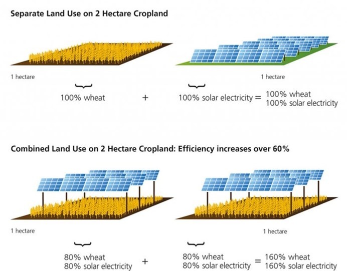 virto solar agri pv